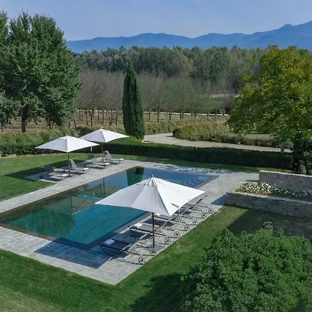 Delightful In With Swimming Pool Holiday home *